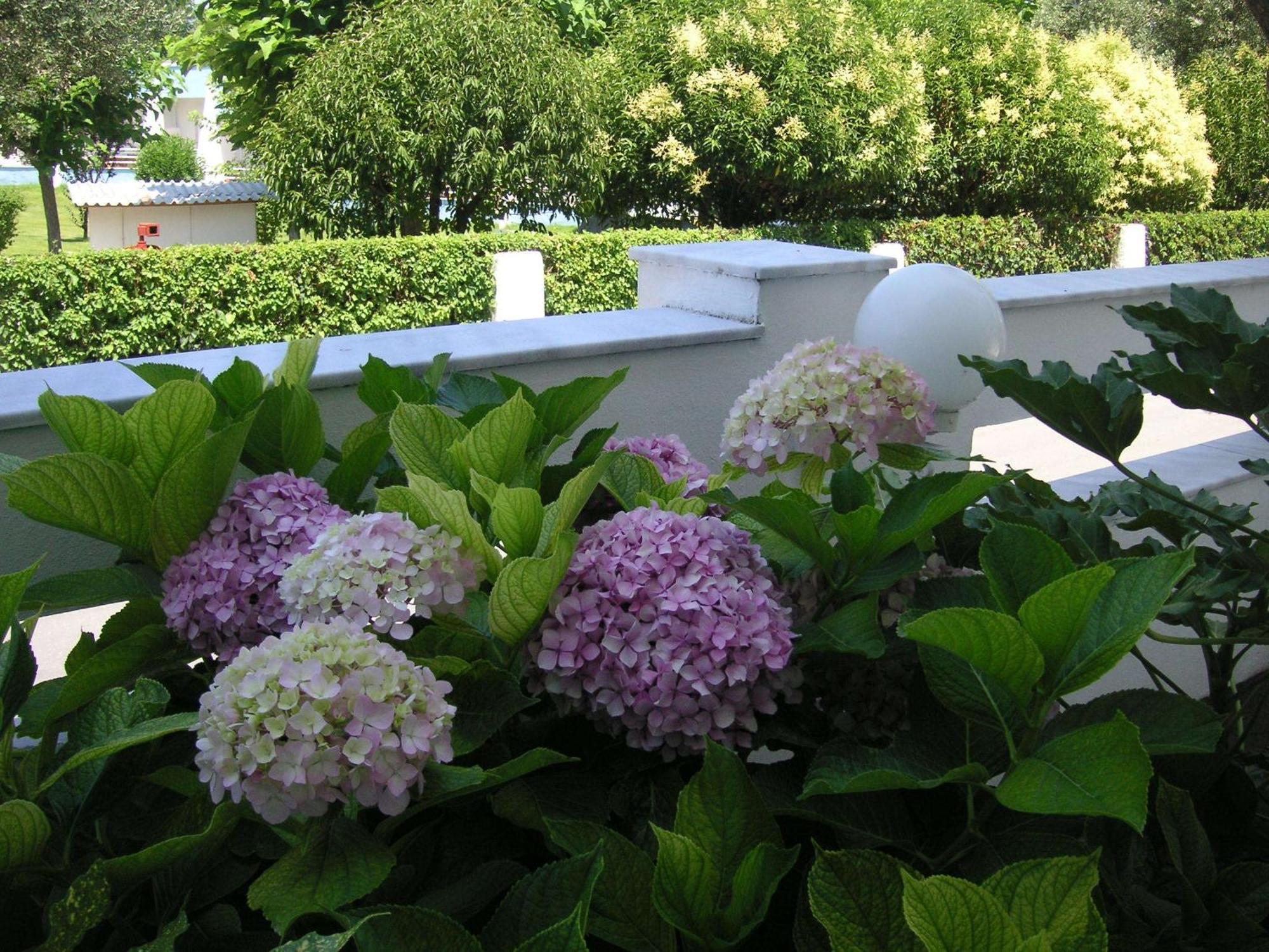 Danae Hotel Лименас Екстериор снимка